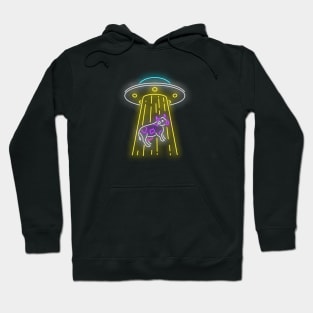 UFO Abduction , Alien UFO , Aliens Hoodie